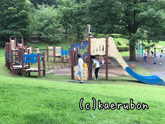 葛西臨海公園 子どもと一緒に何しよう